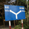 cohongvang