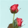 abc123d