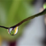 maitri0101