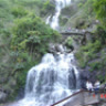 elninohoang