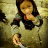 hainam20007