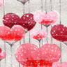 blossom100kg