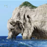 vihatico