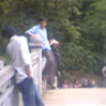 thewallooo