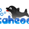 caheooteam1
