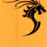 fengshui2007