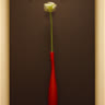 gerbera84
