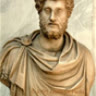 comrnodus