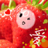 hasujapan
