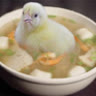 phunglehoang