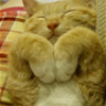 pinkylazy