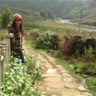 trangbeo88