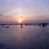 hongtim289