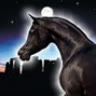 ColdHorse
