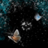 ainet04