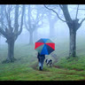 nhichit