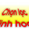 tinhhoa2