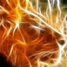 mrlion