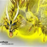 DragonXIII