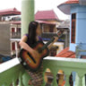 nhungfotu