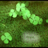 Clovers