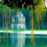 phong031