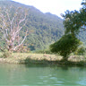 duythoi