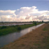 choychoy