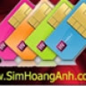 simhoanganh