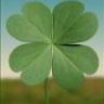 lucky...
