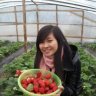 buithang2010hpvn