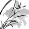 Black_Orchid