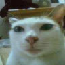OneEye