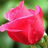 Hoang_Duc_Thang