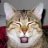 anton_u