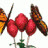 han_linh