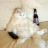 mr_big_cat