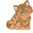 smallcat21101975