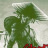 metal_arc
