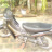 axsfcd