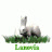 lanovia