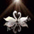 black_sun39