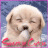 sweetiecutie
