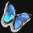 nzmlove