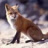 fox2005