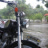 virgo298