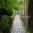 Somethings_in_rain