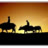 townrain