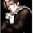 squall85