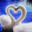 thuy_nguyen84